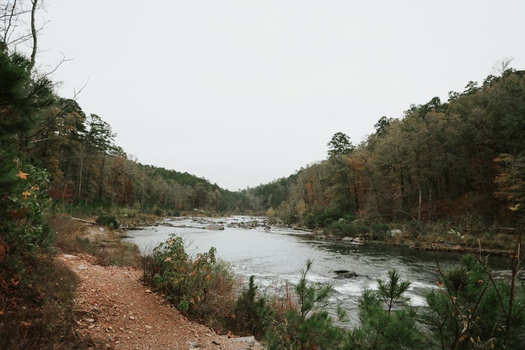 Beavers Bend State Park Camping: The Complete 2026 Oklahoma Guide