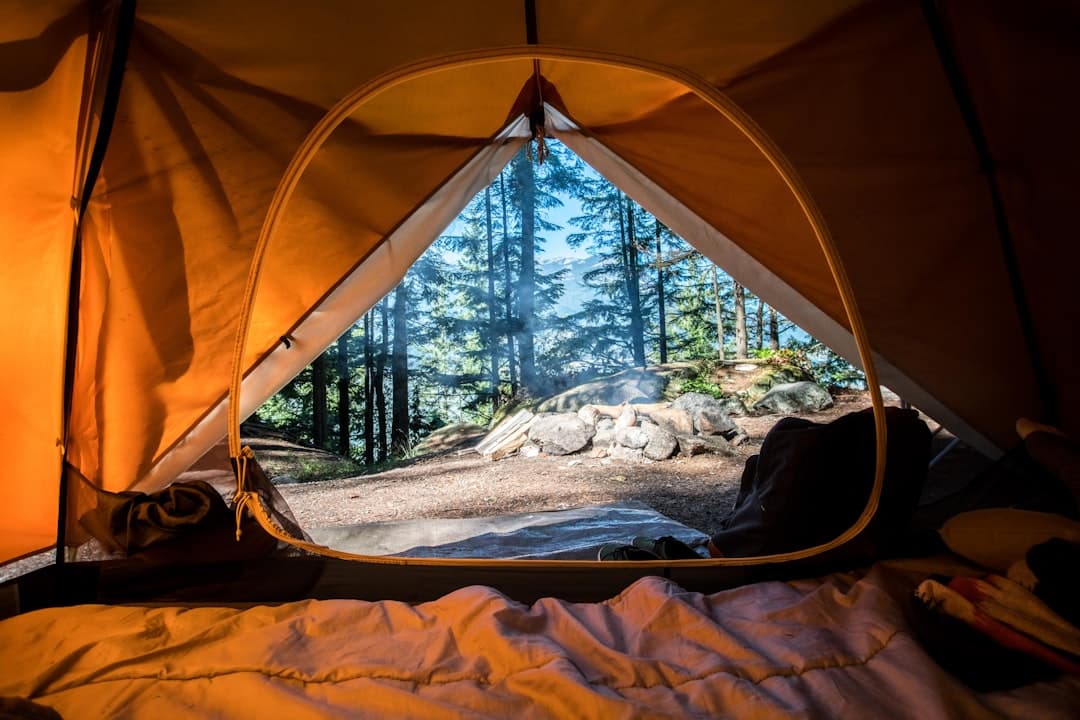 Best Camping App: Top Apps Every Camper Needs in 2026