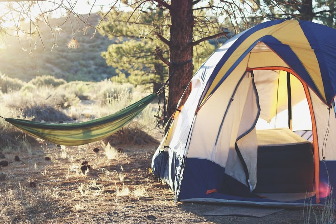 Best Camping Hammock in 2026: Top Picks for Every Camper