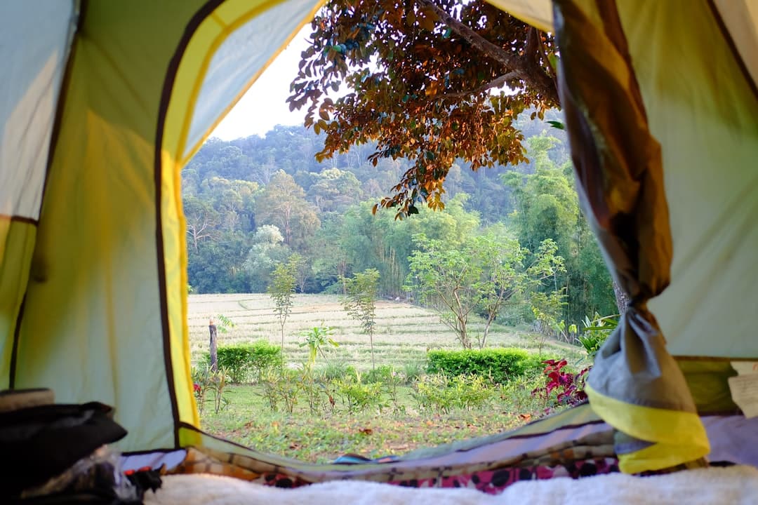 Campground Marketing: Proven Strategies to Fill Your Campsite Year-Round