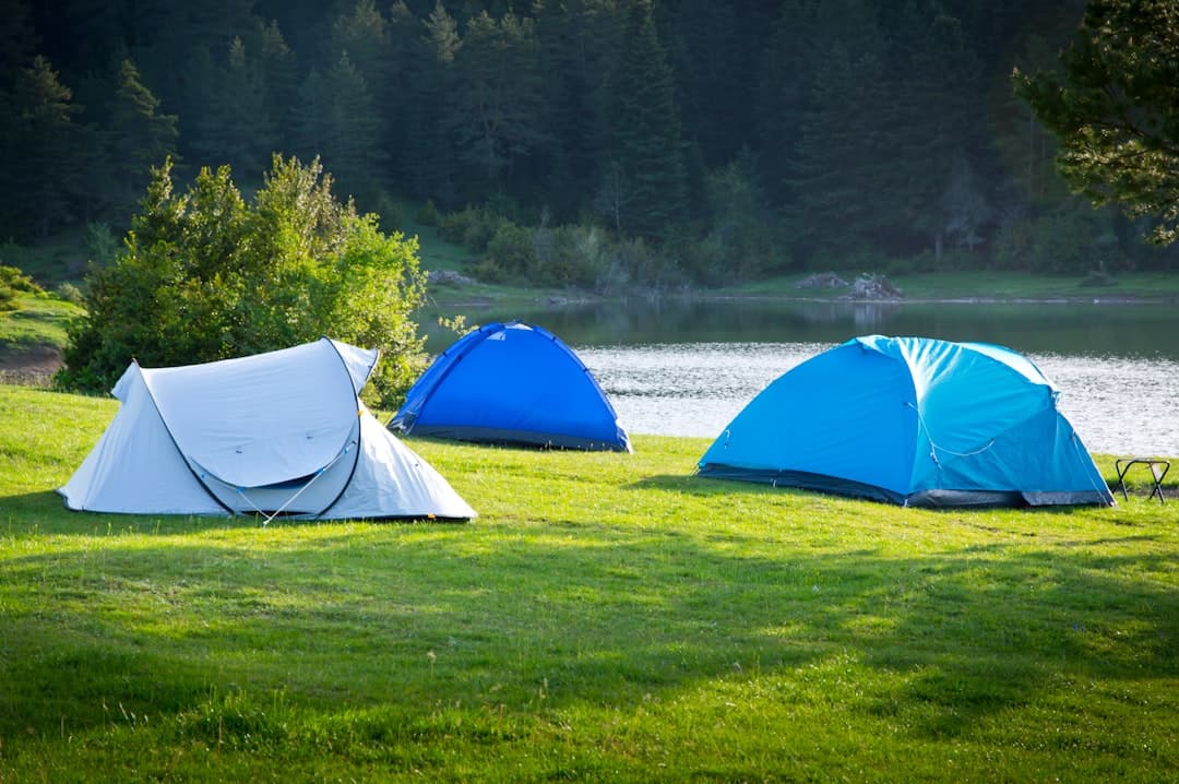 Camping Essentials: The Complete Gear Guide for Every Camper