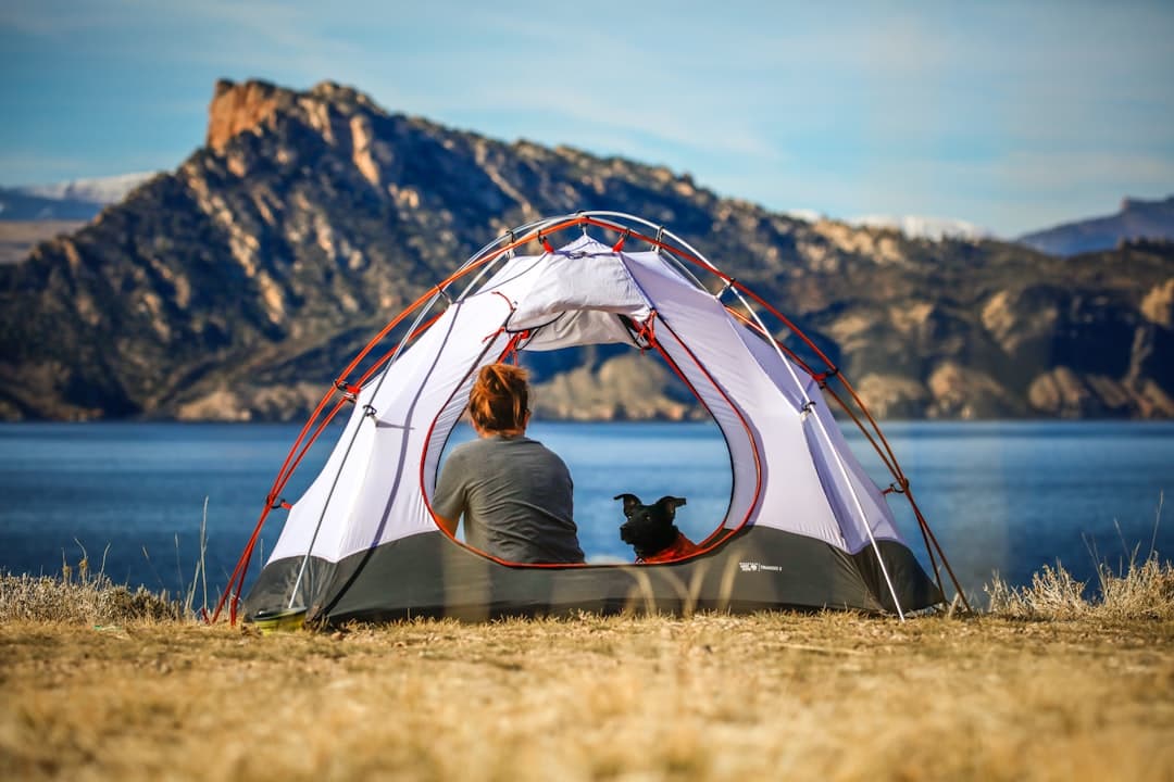 Camping With Dogs: The Complete Guide to a Safe, Fun Trip