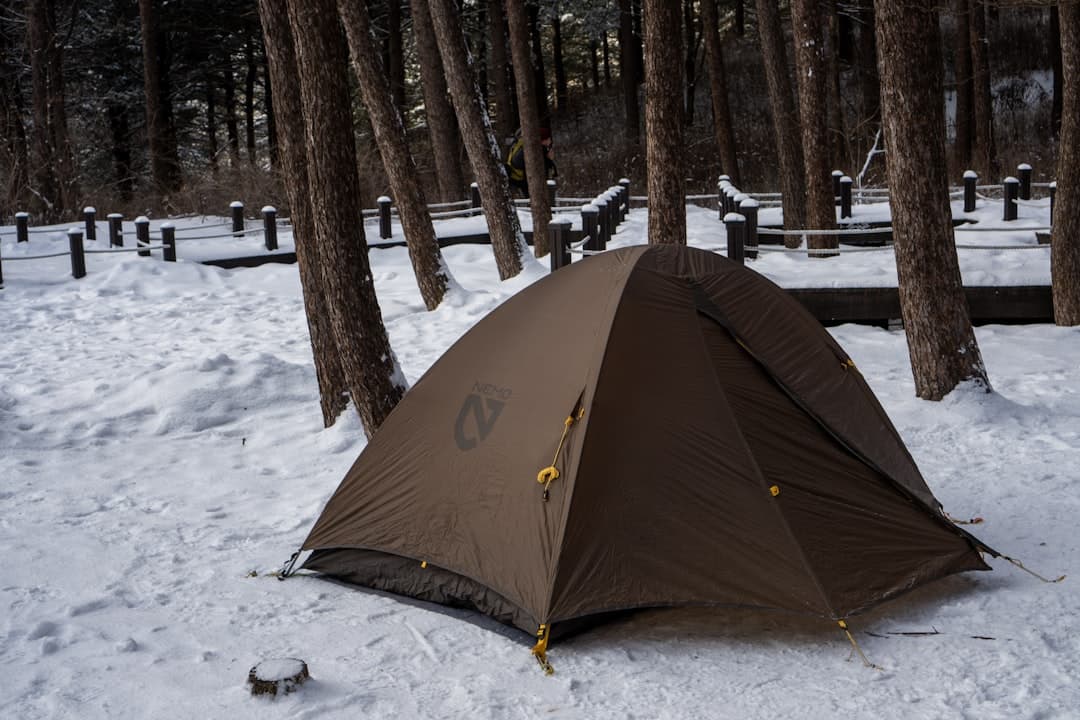 Best Campsite App: Top Apps for Finding and Booking Camping Spots in 2026