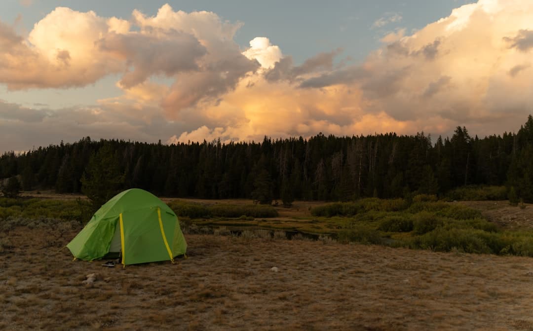 Best Dispersed Camping App: Find Free Campsites in the Wild