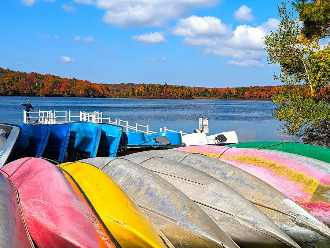 Gifford Pinchot State Park Camping: The Complete 2026 Pennsylvania Guide