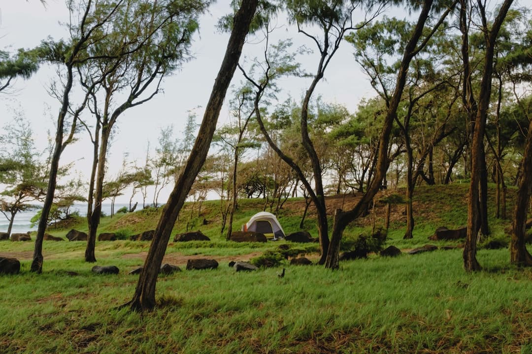 Camping at Hanna Park, Jacksonville FL: The Complete 2026 Guide