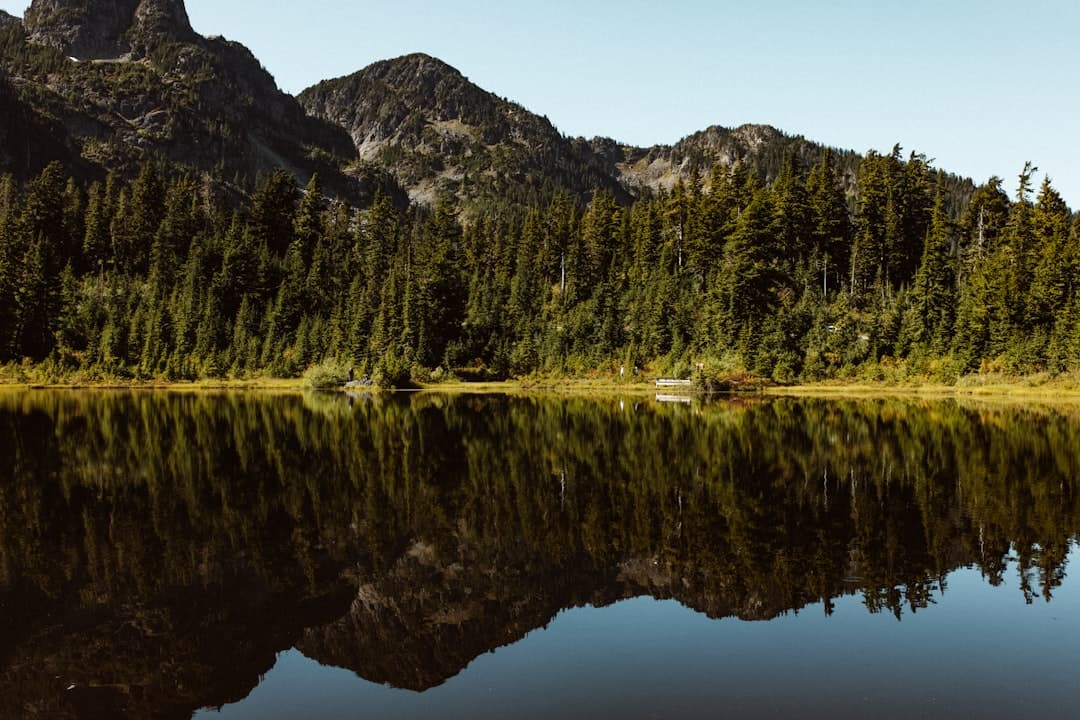 Camping at Lake Hemet: The Complete 2026 Guide