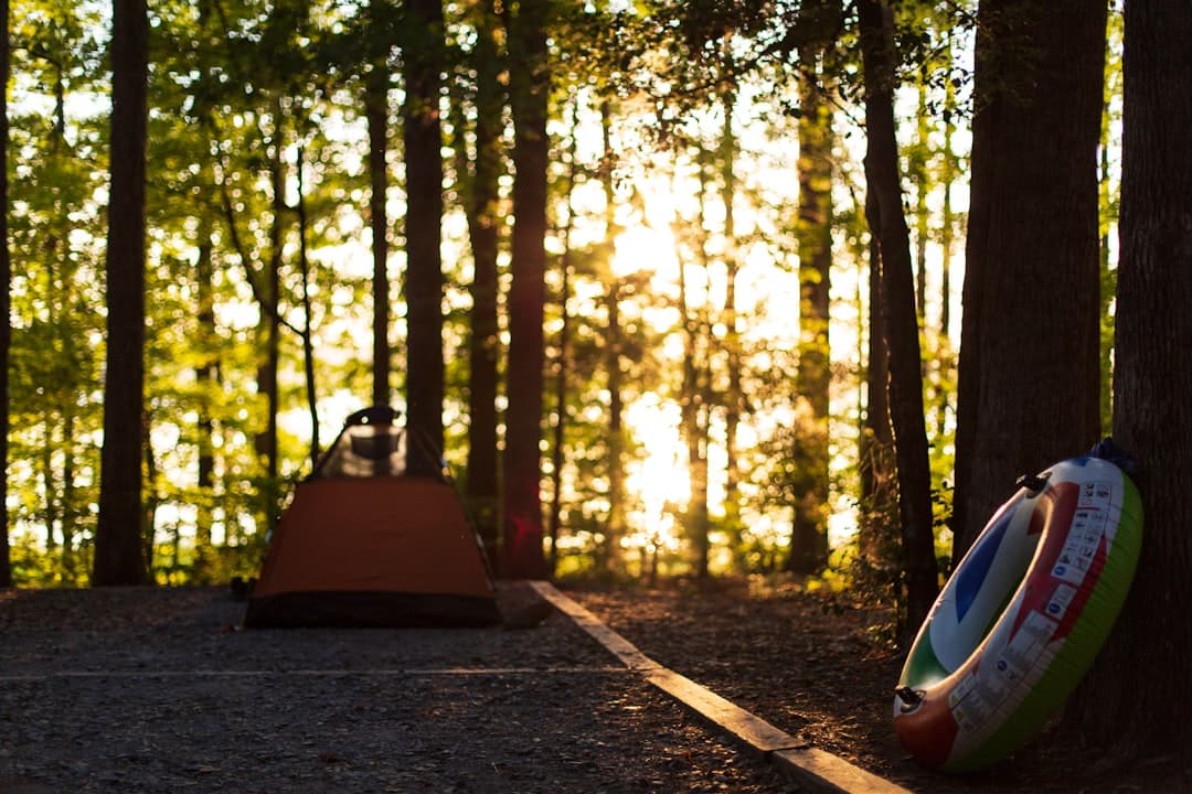 Ohio State Park Campgrounds: The Complete 2026 Camping Guide