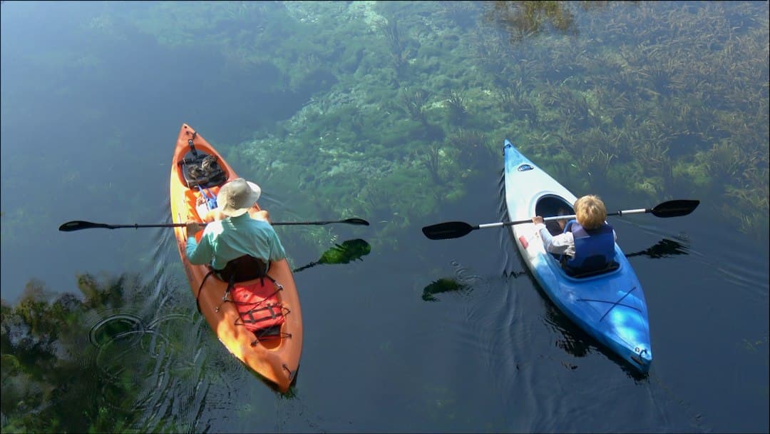 Rainbow Springs State Park Camping in Florida: The Complete 2026 Guide