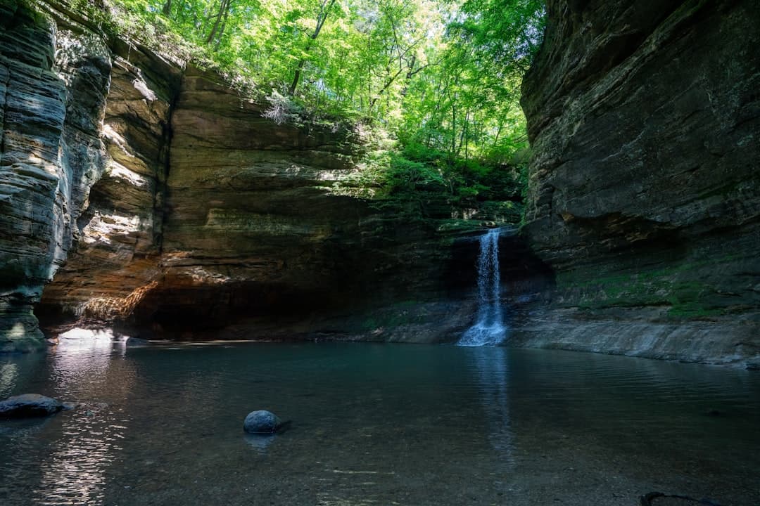 Starved Rock State Park Camping: The Complete 2026 Guide