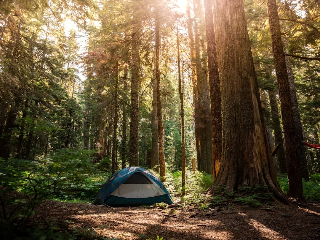 Cedars of Lebanon State Park Camping: The Complete 2026 Guide