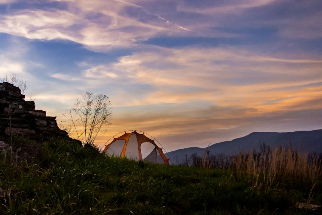 David Crockett Birthplace Campground in Tennessee: 2026 Status and Rebuild Guide