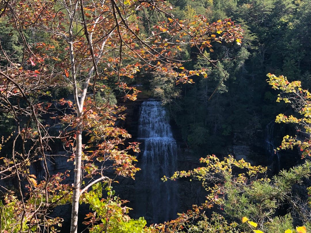 Fall Creek Falls State Park Camping in Tennessee: The Complete 2026 Guide