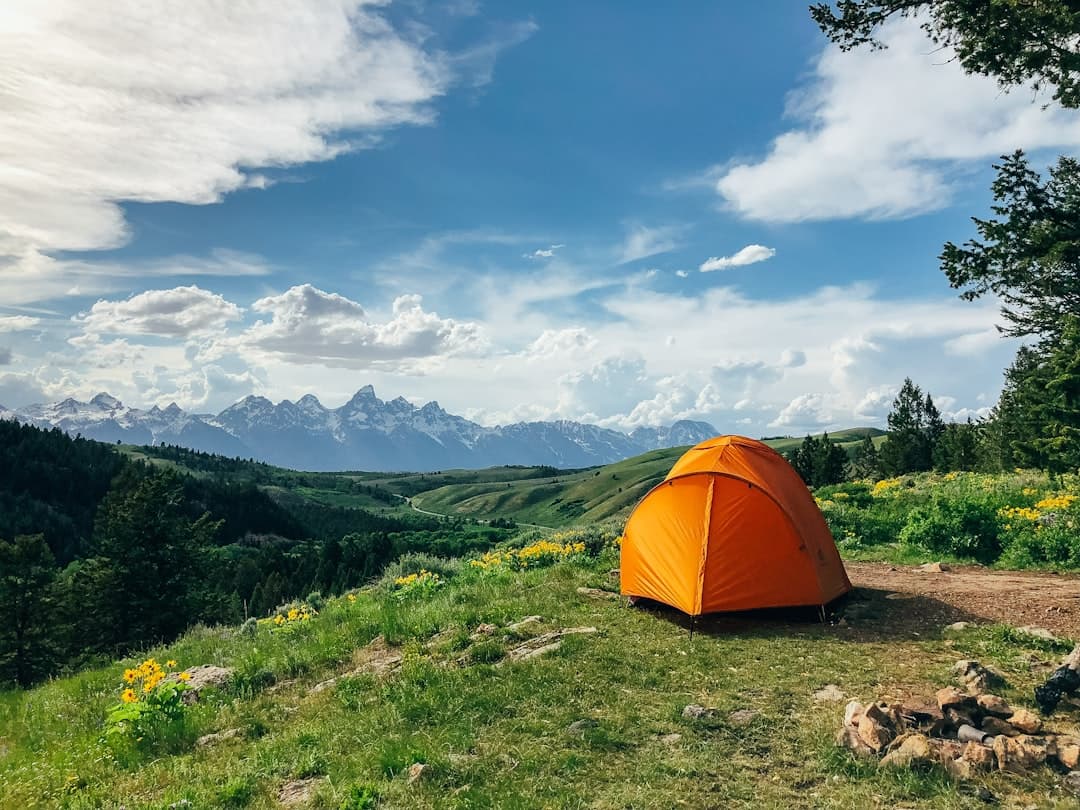 Grayson Highlands State Park Camping: The Complete 2026 Guide