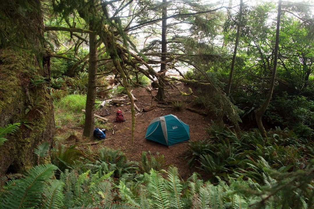 Washington State Camping: The Complete 2026 Guide